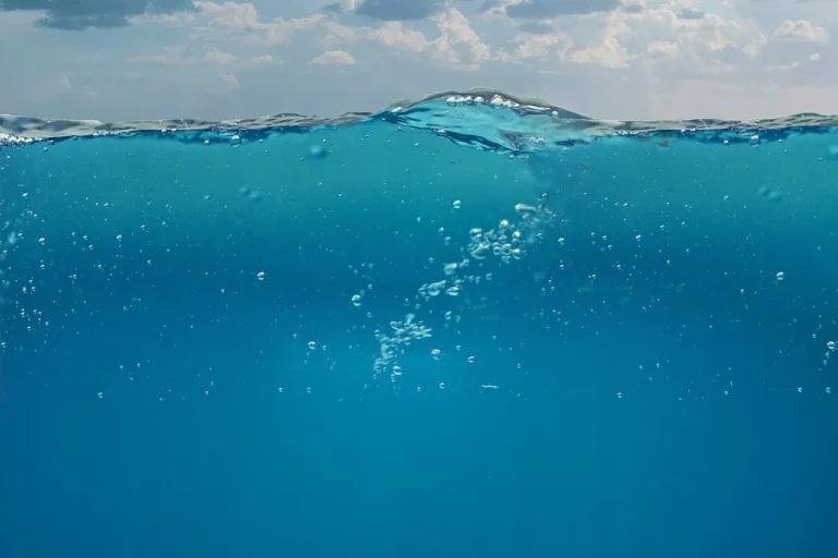 immagine per full immersion 2025